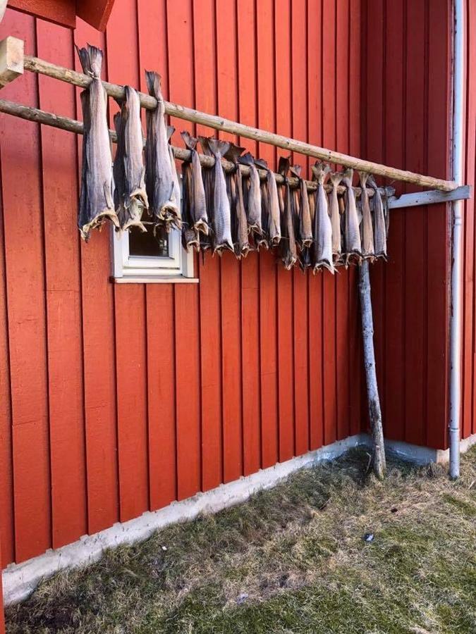 Ballstad Brygge Rorbu Luaran gambar